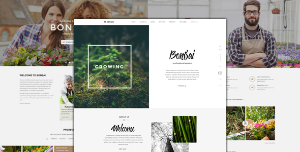 Bonsai - PSD Template for Landscapers & Gardeners 